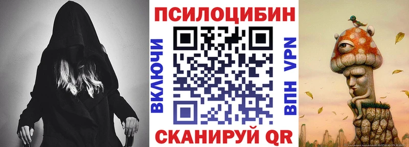 Псилоцибиновые грибы Psilocybine cubensis  Брянск 