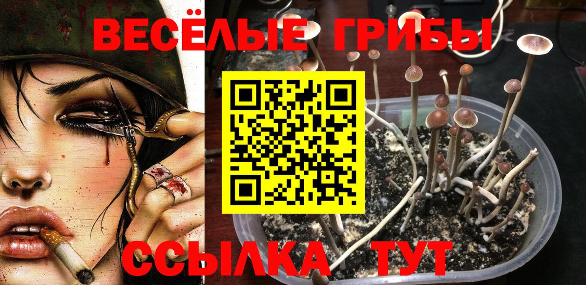 Мефедрон Брянск