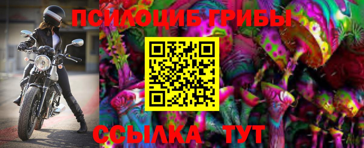 Брянск  Галлюциногенные грибы прущие грибы  купить   Вход с VPN 